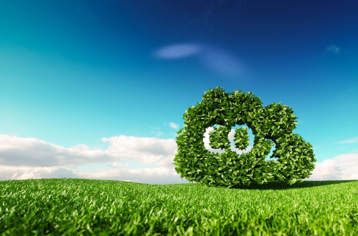 net zero