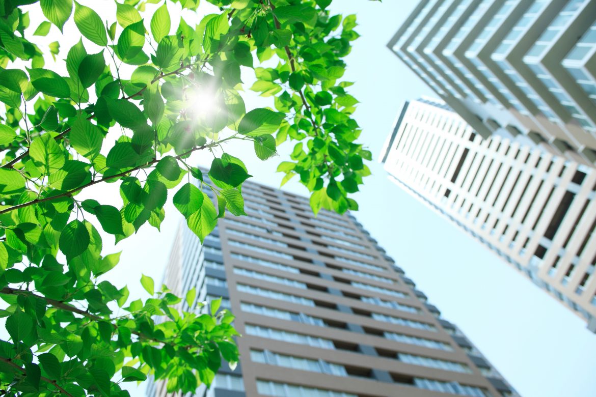 Greenery surrounding tall buildings